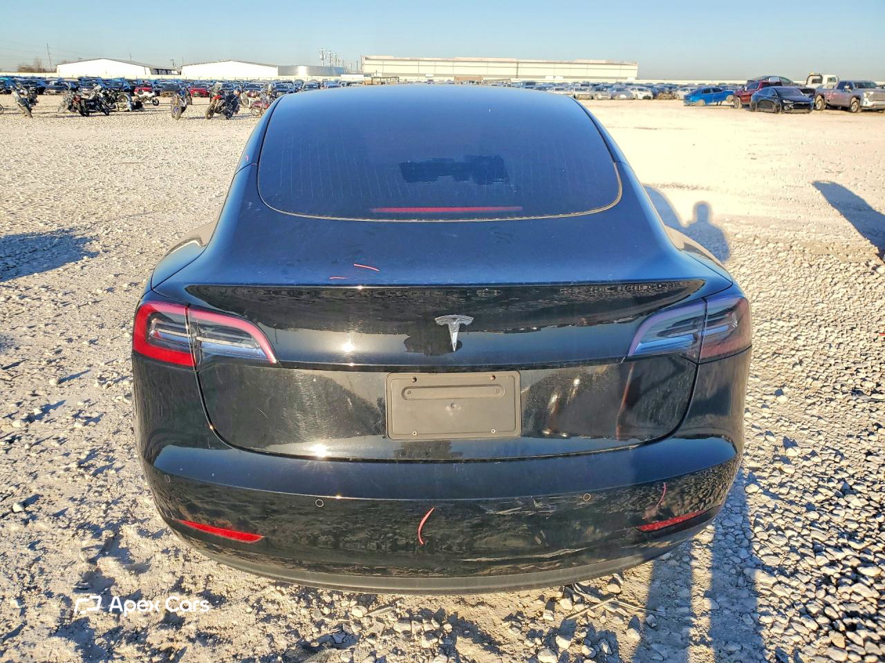 Tesla Model 3 2019