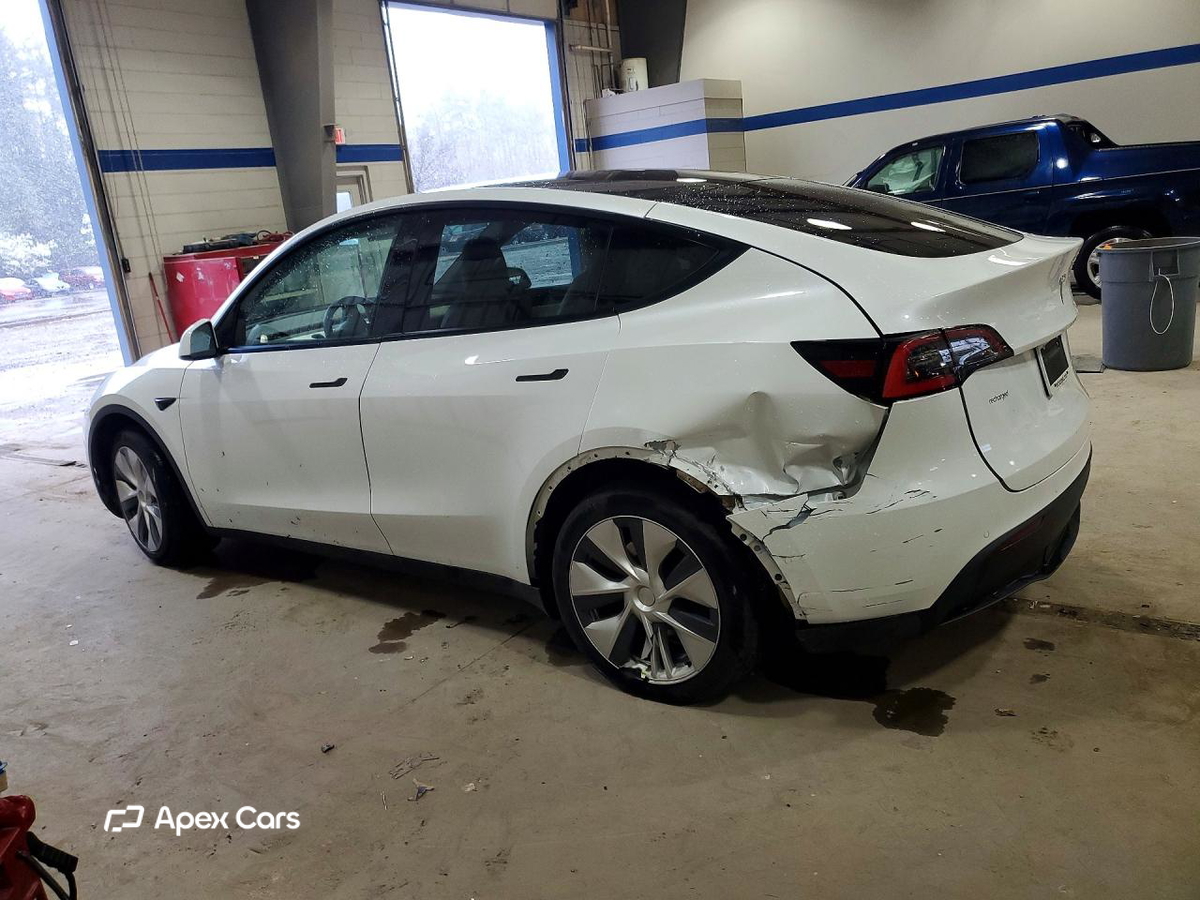 Tesla Model Y 2020