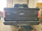 Ford F-150 2010