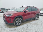 Toyota RAV 4 2024
