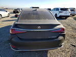 Lexus ES 2019