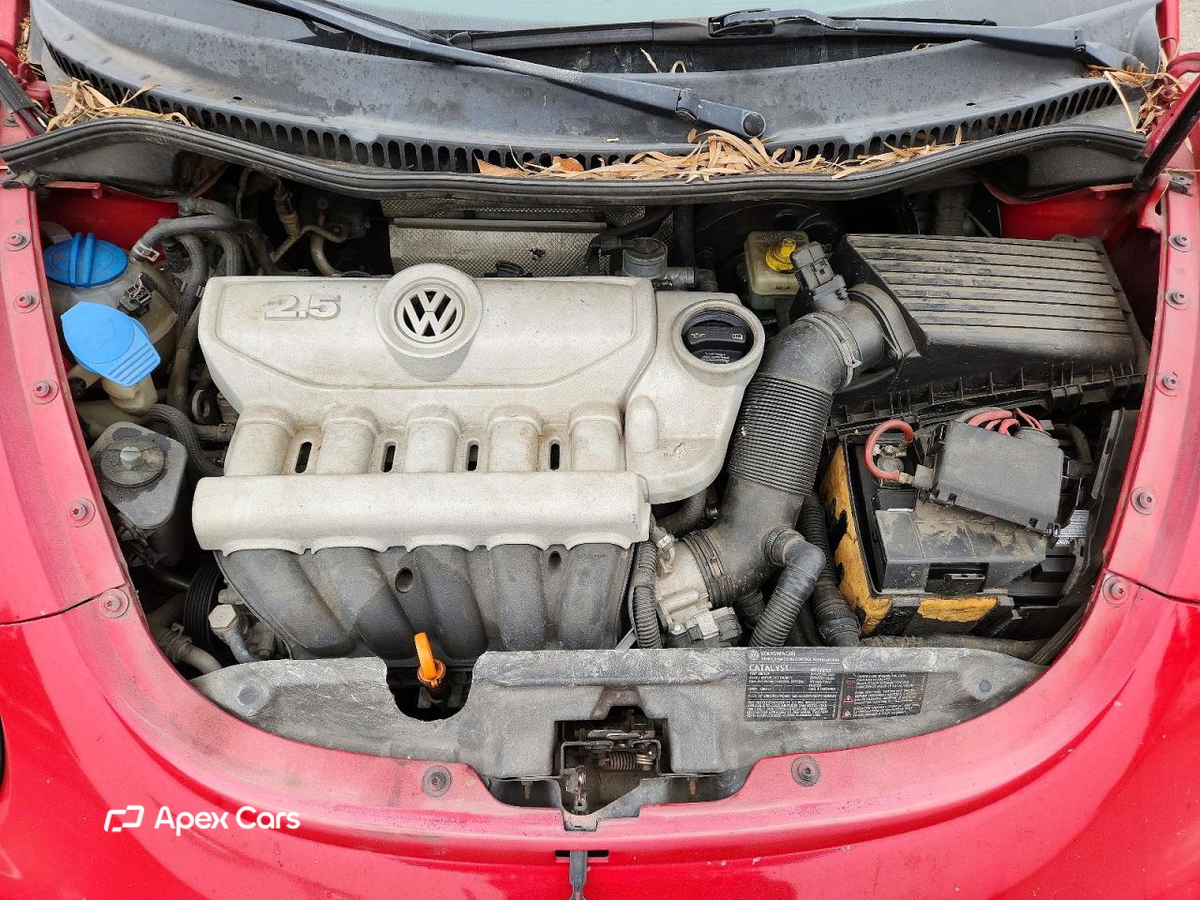Volkswagen Beetle 2008
