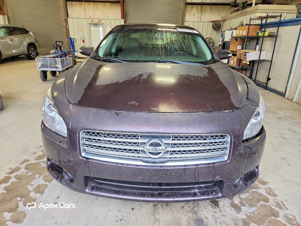 Nissan Maxima 2010