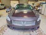 Nissan Maxima 2010