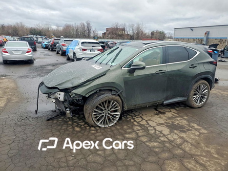 Lexus NX 2022 - Image 1 of 15