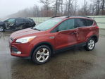 Ford Escape 2015