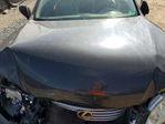 Lexus ES 2007