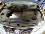 Lexus RX 2010