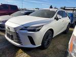 Lexus RX 2025