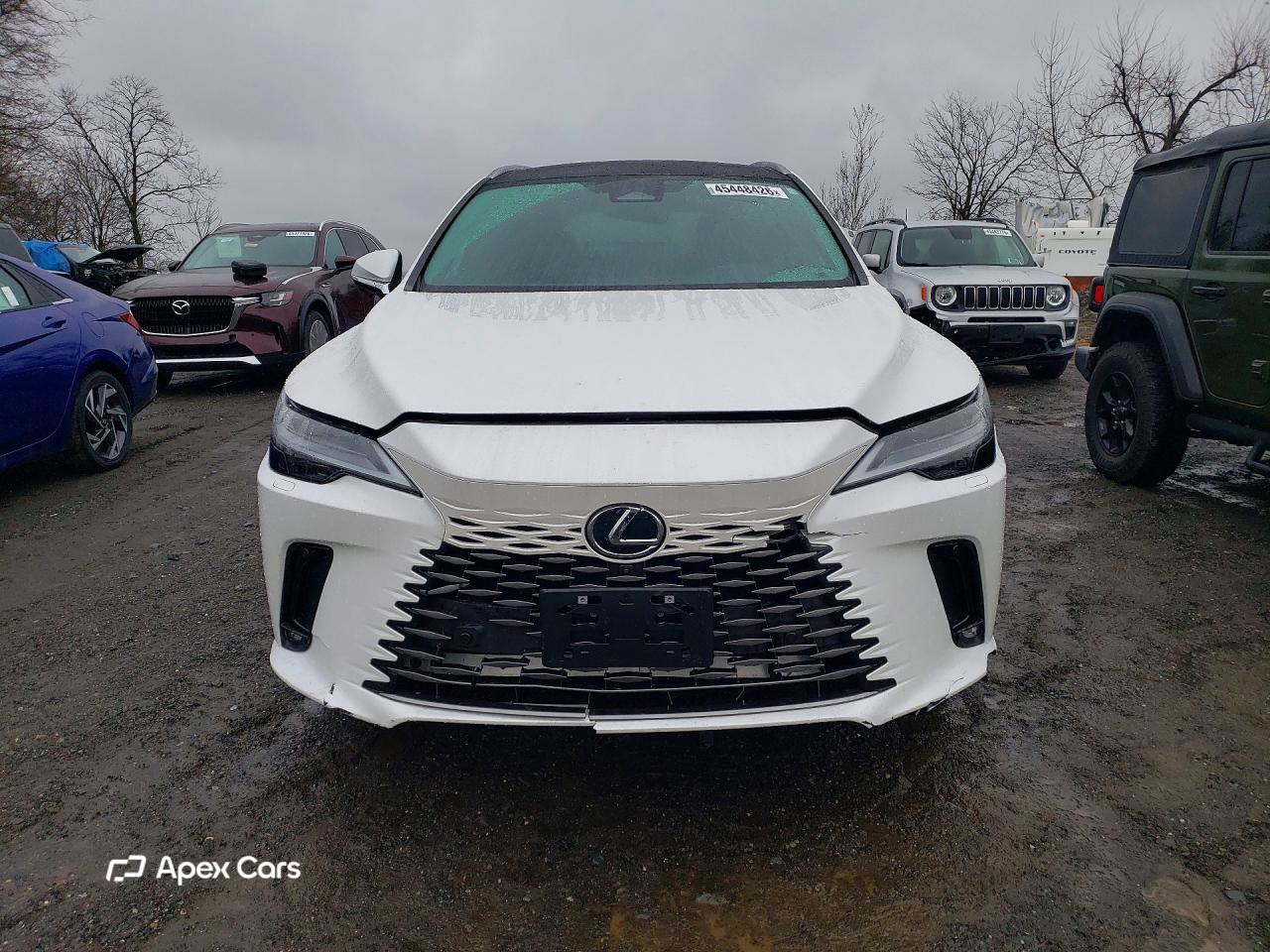 Lexus RX 2024
