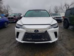 Lexus RX 2024
