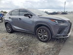 Lexus NX 2021