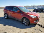 Ford Escape 2014