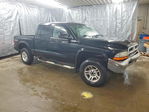 Dodge Dakota 2004