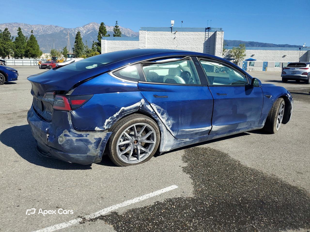 Tesla Model 3 2021