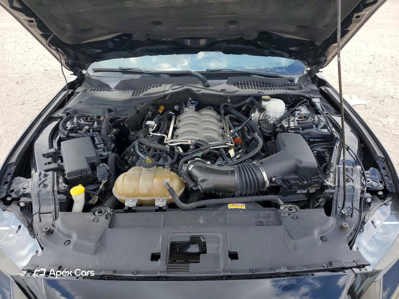 Ford Mustang 2019