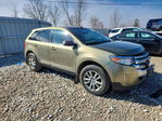 Ford Edge 2013