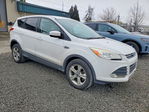 Ford Escape 2013