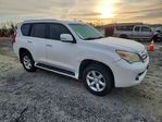 Lexus GX 2011