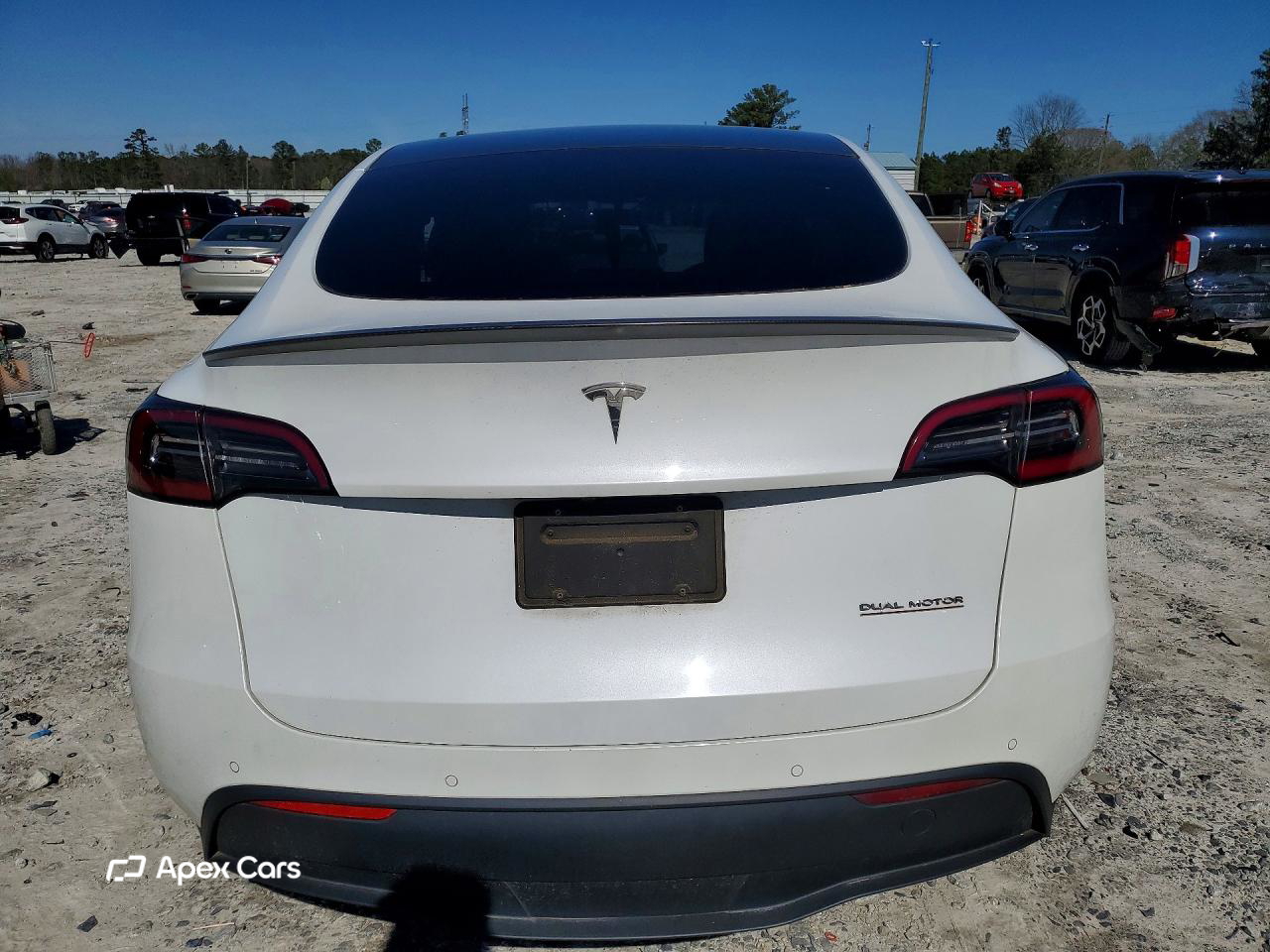Tesla Model Y 2020