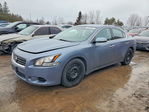 Nissan Maxima 2012