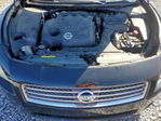 Nissan Maxima 2011