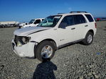 Ford Escape 2009