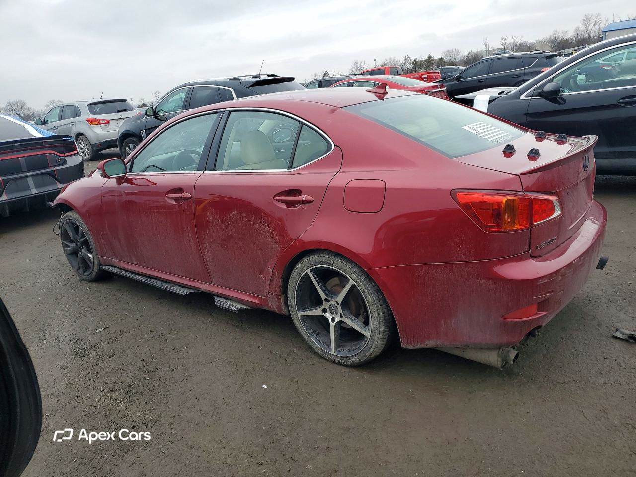 Lexus IS 2009