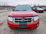 Ford Escape 2011
