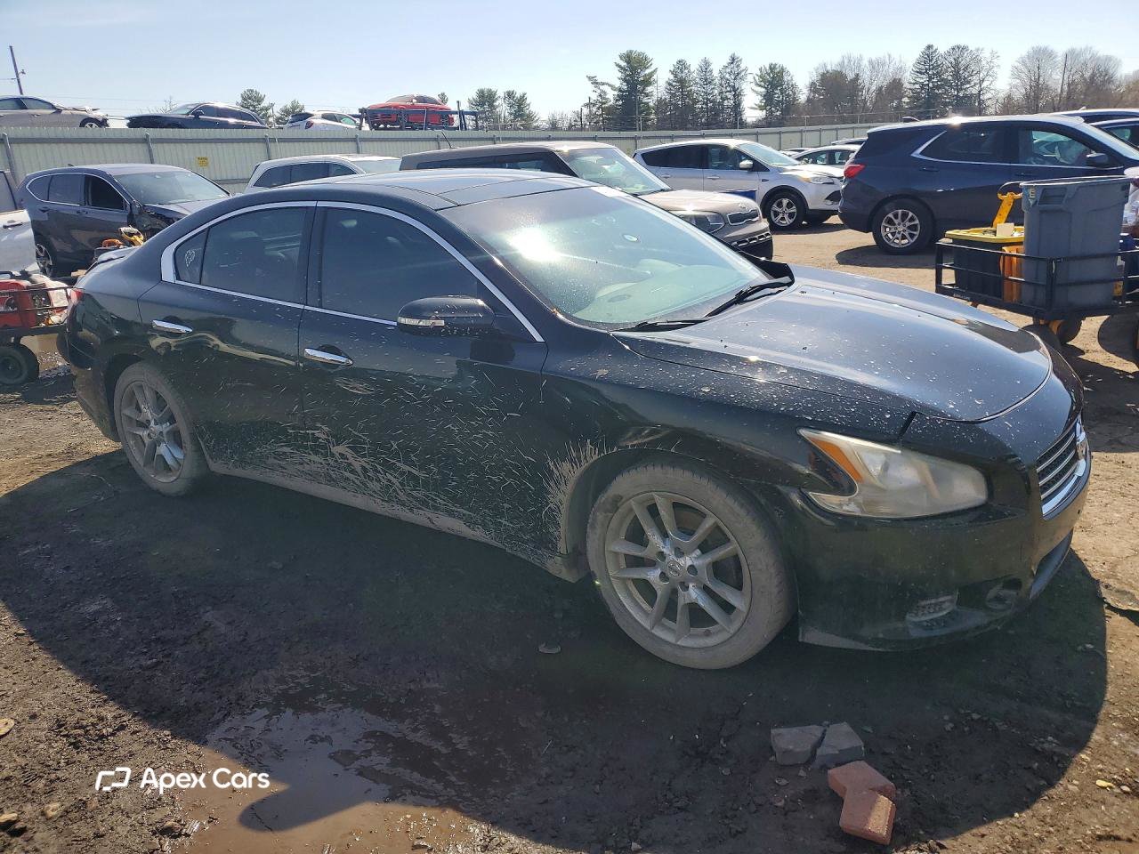 Nissan Maxima 2010