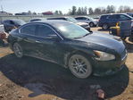 Nissan Maxima 2010