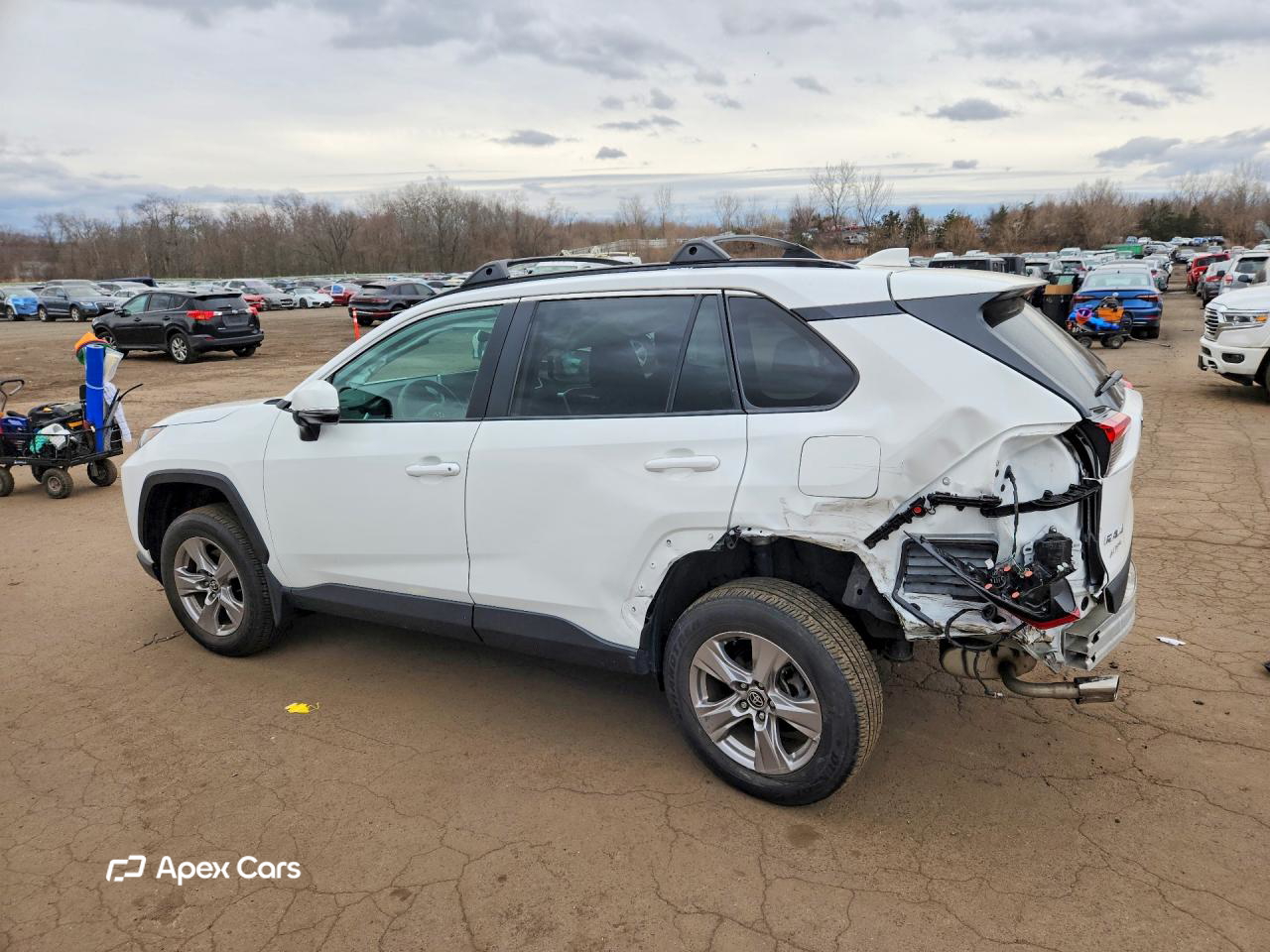 Toyota RAV 4 2023