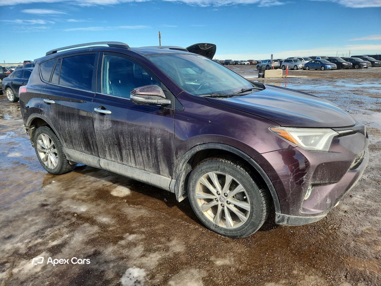 Toyota RAV 4 2016