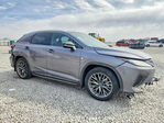 Lexus RX 2022
