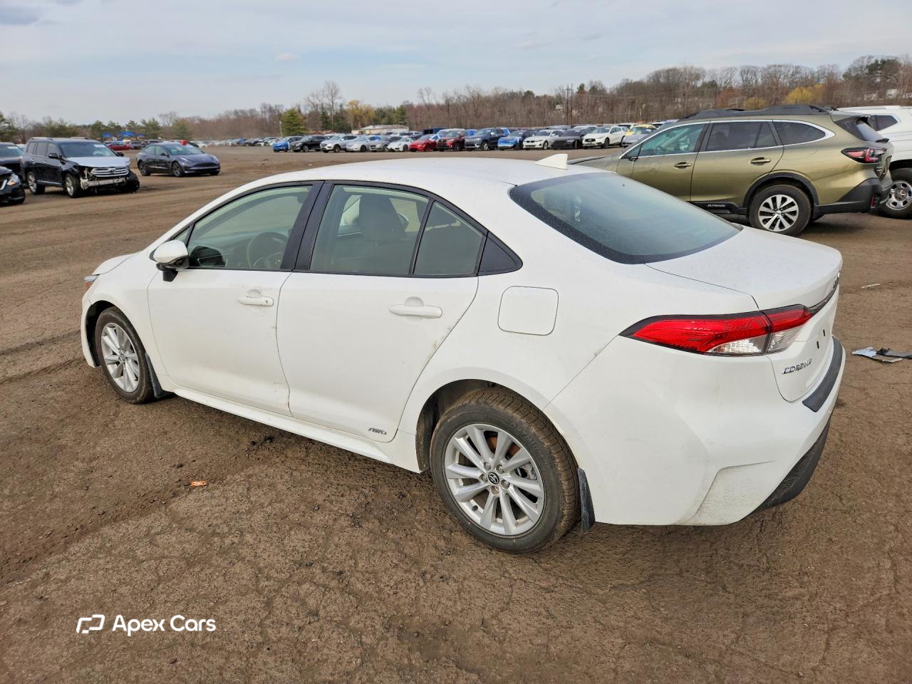 Toyota Corolla 2025