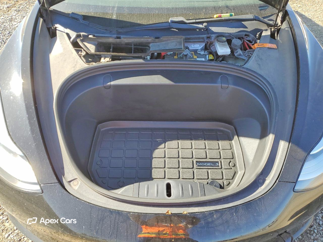 Tesla Model 3 2019