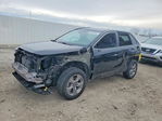 Toyota RAV 4 2024