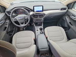 Ford Escape 2020