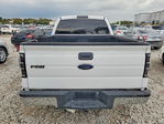 Ford F-150 2010