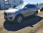 Kia Sorento 2017