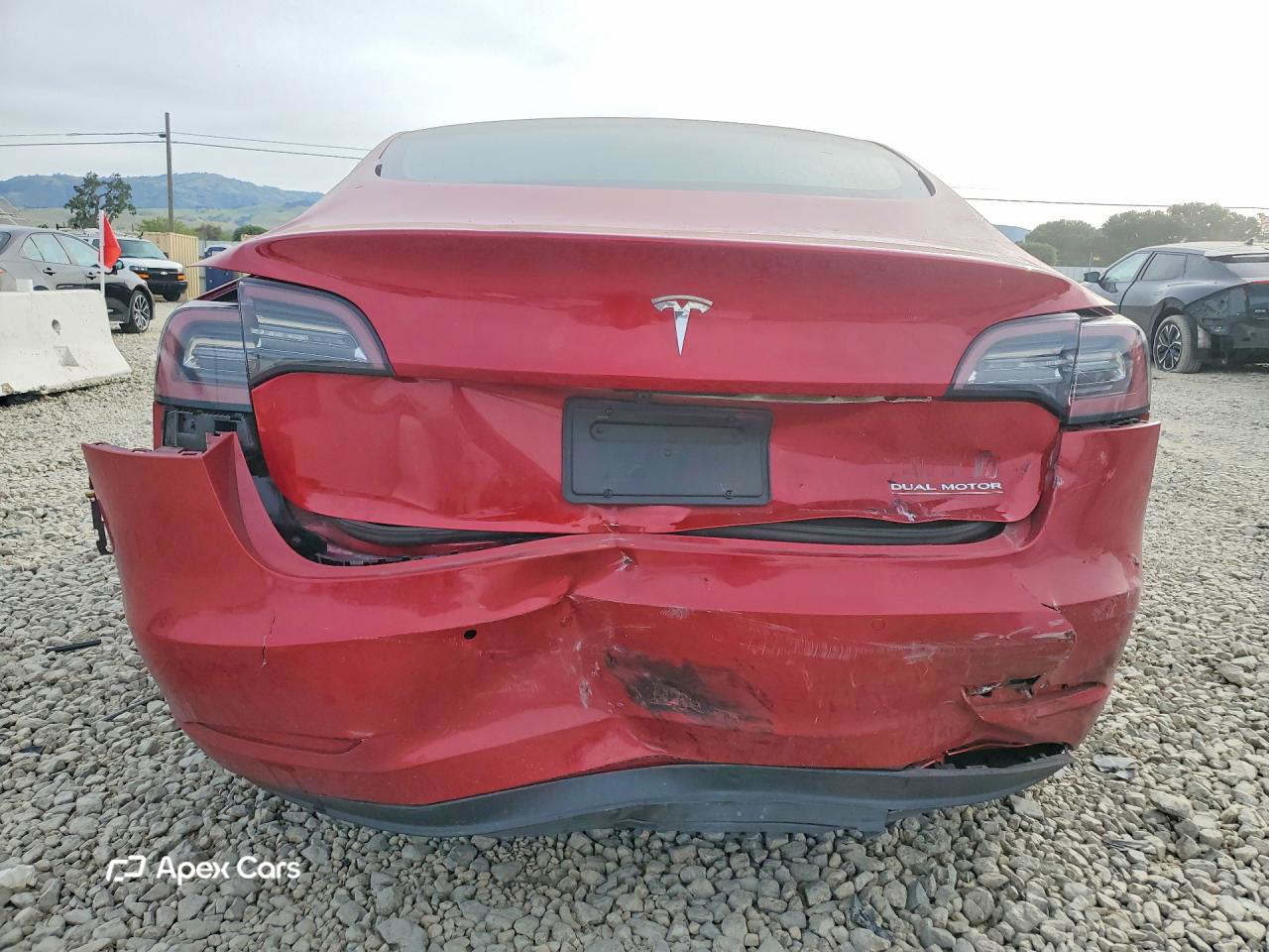 Tesla Model 3 2020