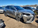 Lexus NX 2020