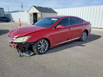 Lexus ES 2010