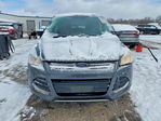 Ford Escape 2015