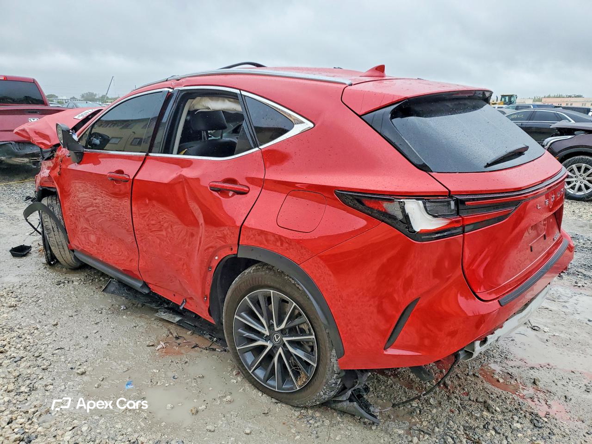 Lexus NX 2024