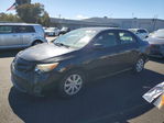 Toyota Corolla 2011
