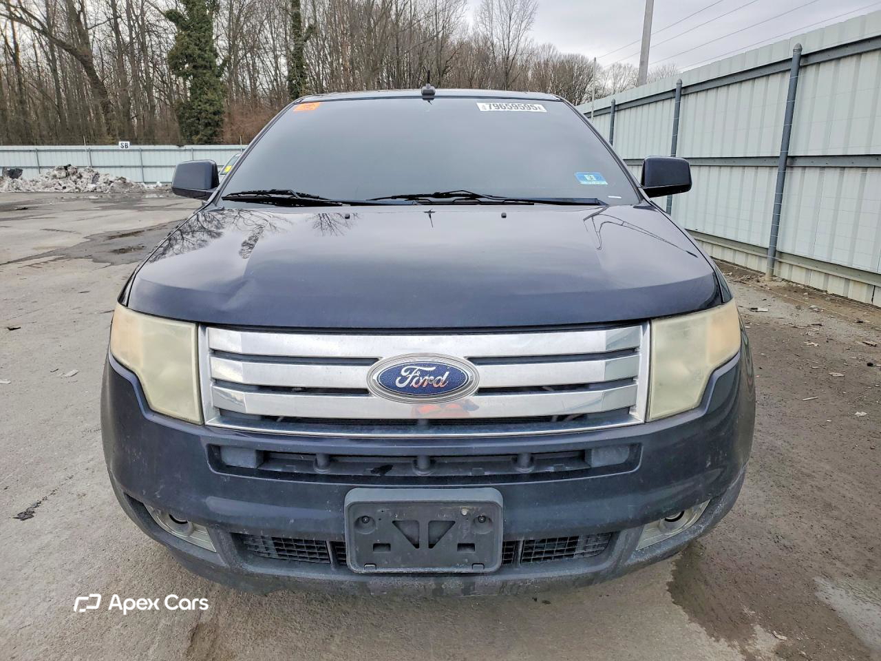Ford Edge 2010