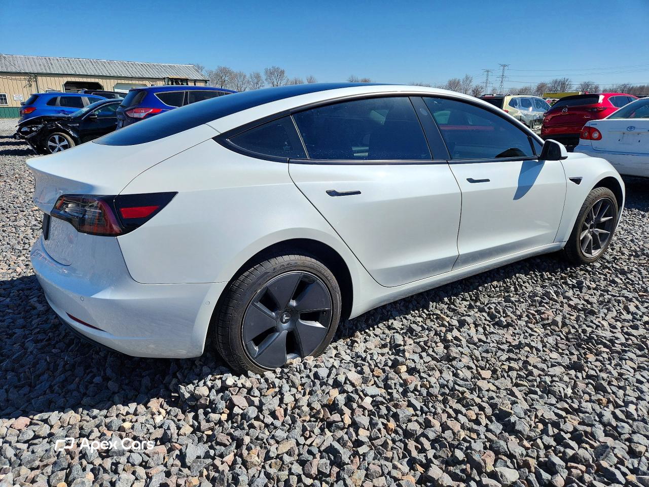 Tesla Model 3 2021