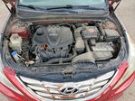 Hyundai Sonata 2011