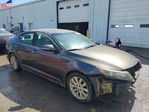 Kia Optima 2015